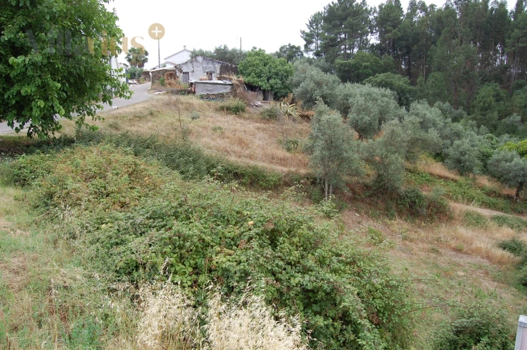 Terreno para Venda em Olalhas Foto 7