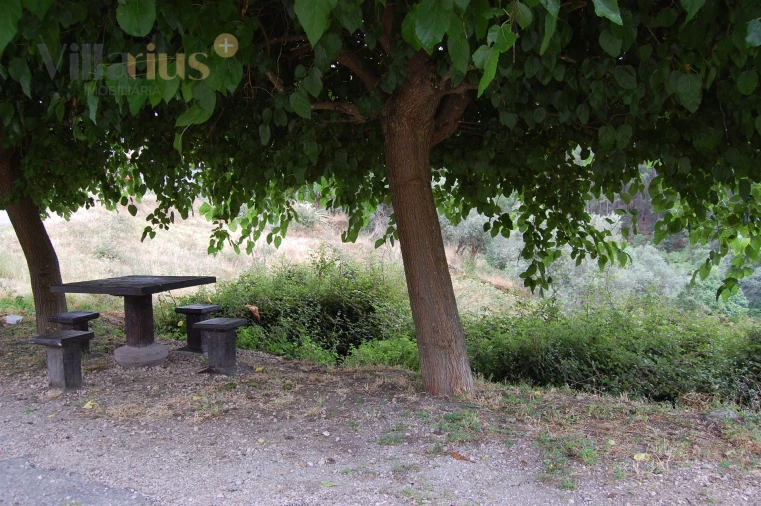 Terreno para Venda em Olalhas Foto 10