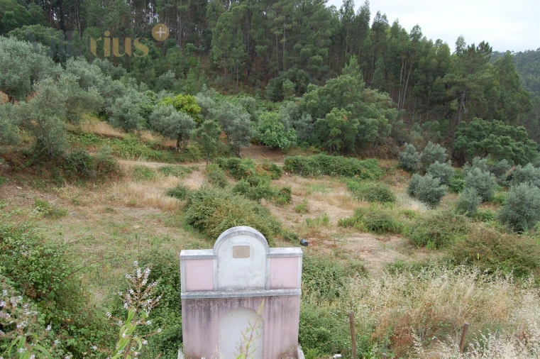 Terreno para Venda em Olalhas Foto 9