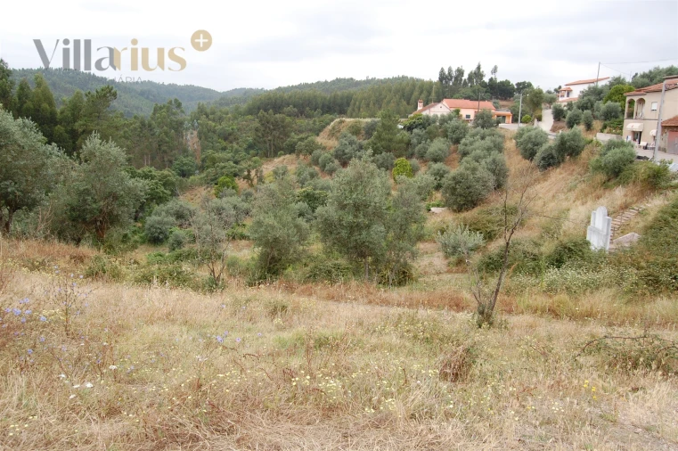 Terreno para Venda em Olalhas Foto 2