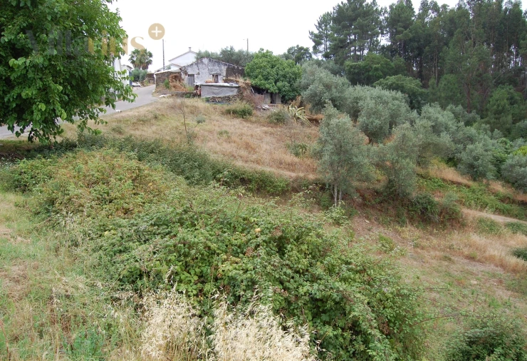 Terreno para Venda em Olalhas Foto 3