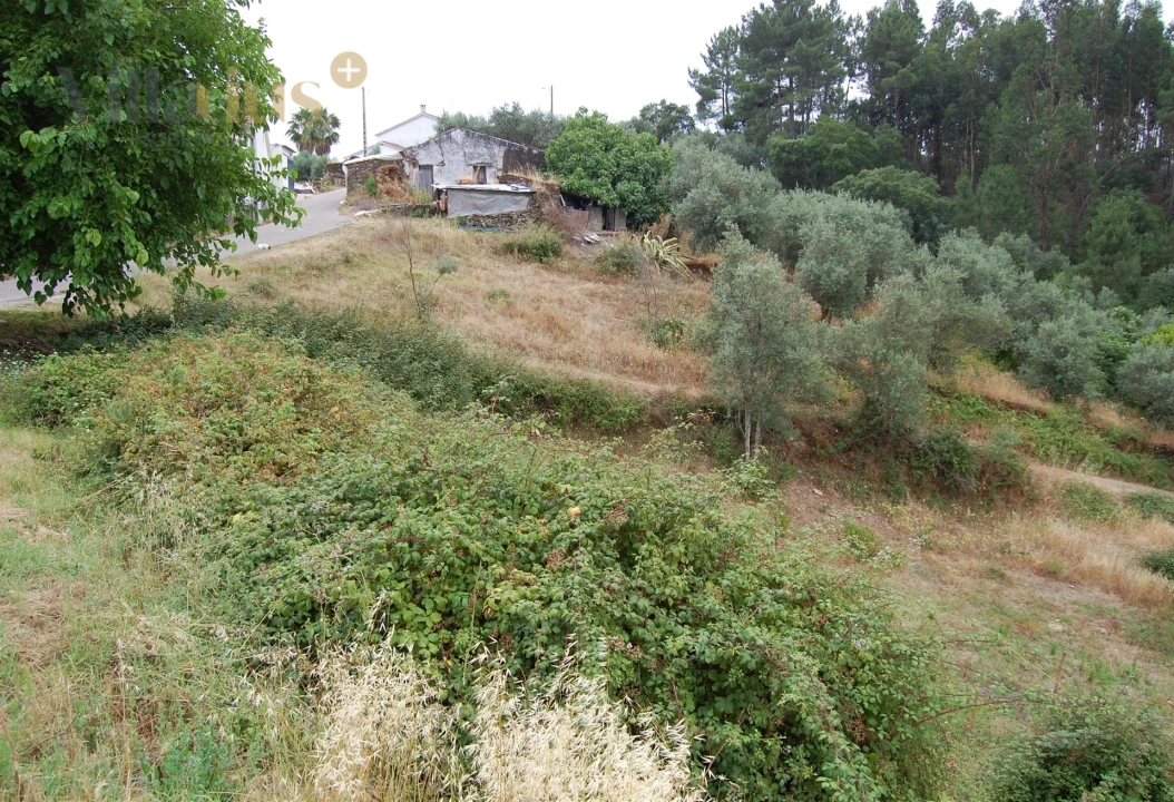 Terreno para Venda em Olalhas Foto 3