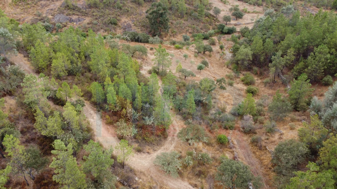 Terreno para Venda em Benquerenças Foto 11