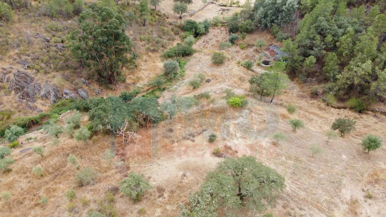 Terreno para Venda em Benquerenças Foto 4