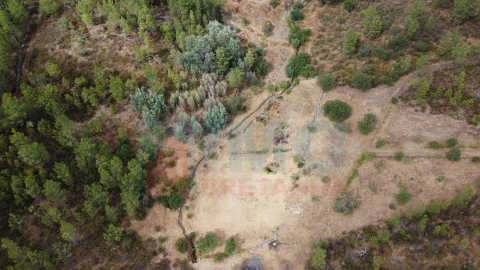 Terreno para Venda em Benquerenças