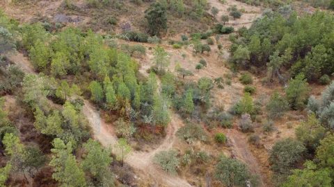 Terreno para Venda em Benquerenças