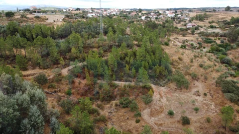 Terreno para Venda em Benquerenças