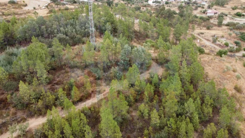 Terreno para Venda em Benquerenças