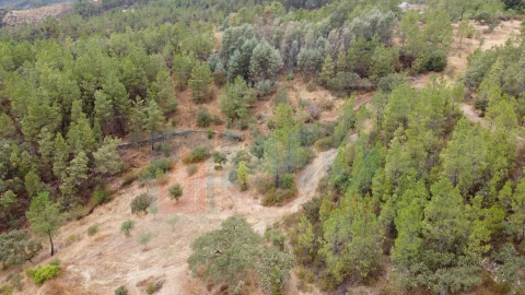 Terreno para Venda em Benquerenças