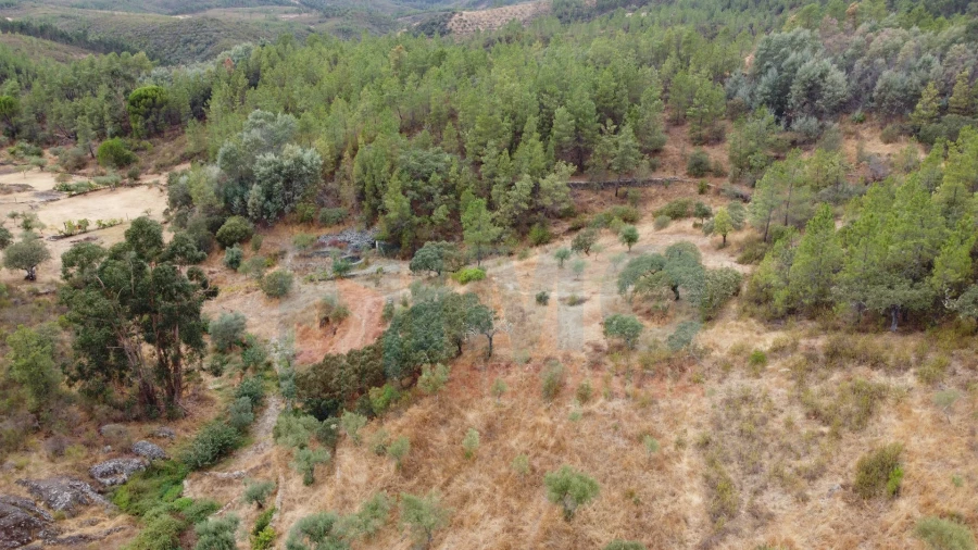 Terreno para Venda em Benquerenças Foto 9