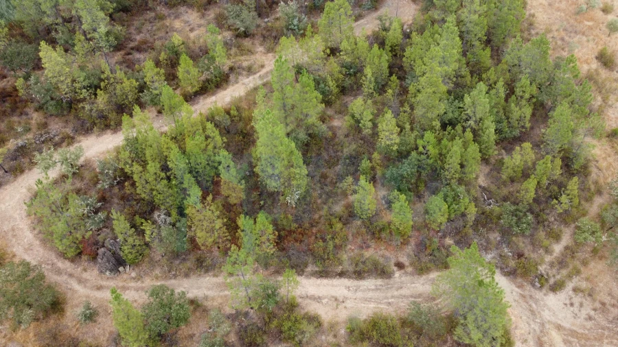 Terreno para Venda em Benquerenças Foto 14