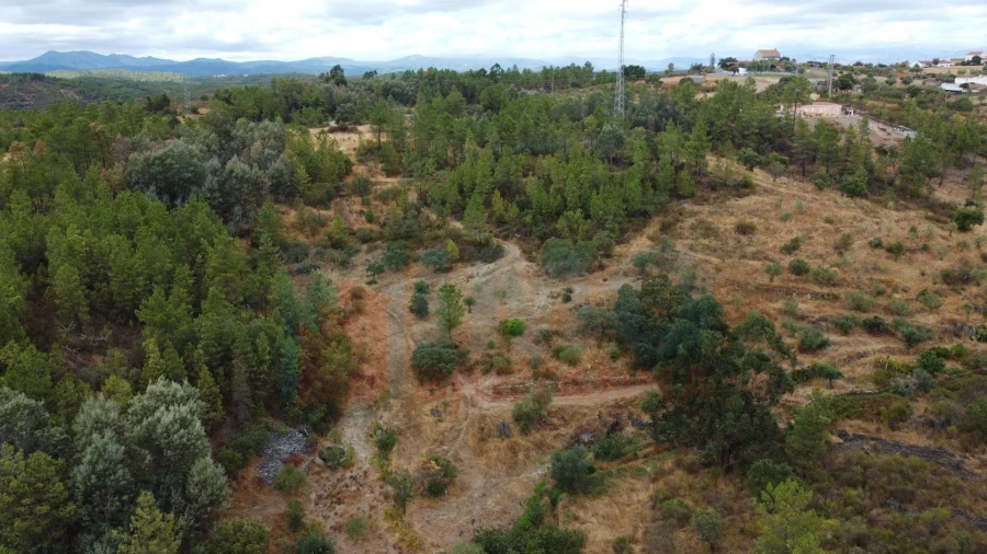 Terreno para Venda em Benquerenças Foto 10