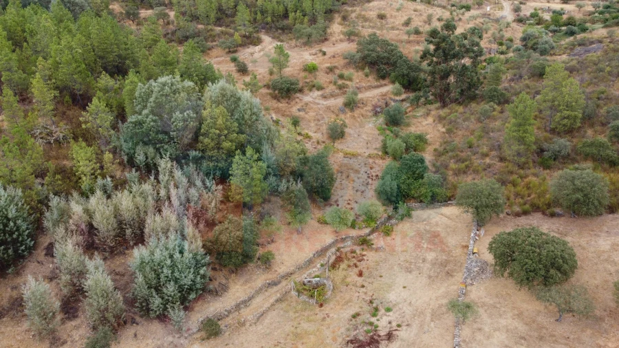 Terreno para Venda em Benquerenças Foto 3