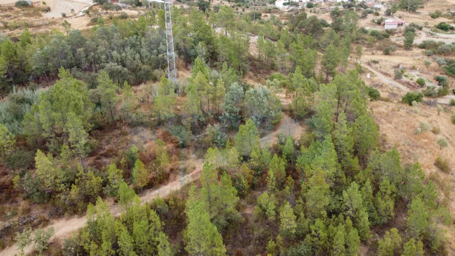 Terreno para Venda em Benquerenças Foto 13