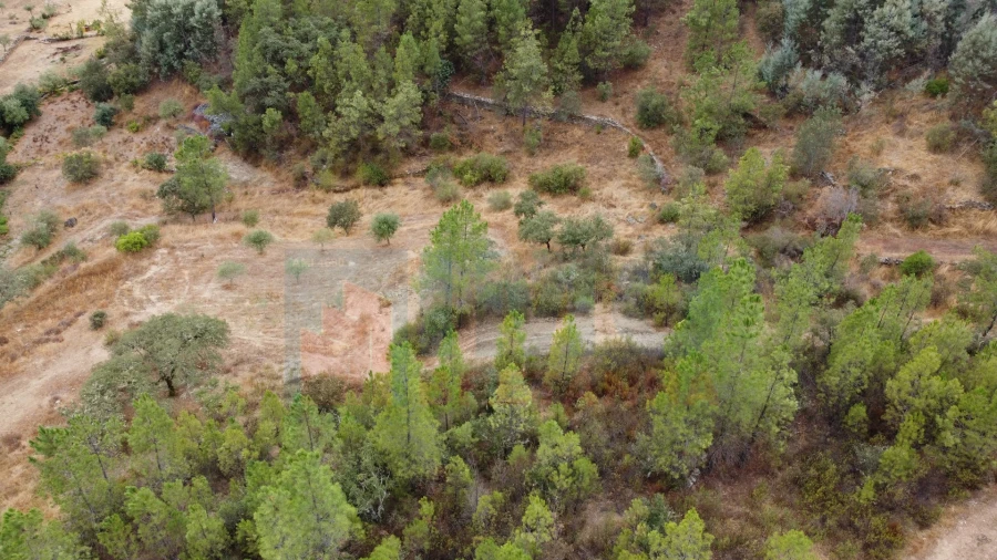 Terreno para Venda em Benquerenças Foto 12