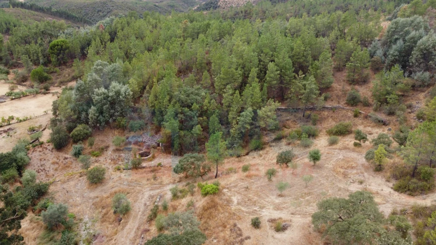 Terreno para Venda em Benquerenças Foto 6