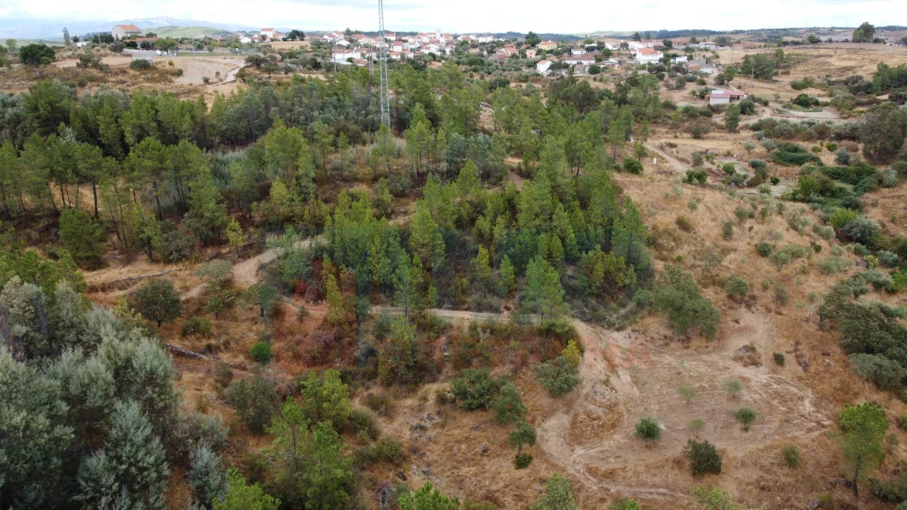 Terreno para Venda em Benquerenças Foto 15