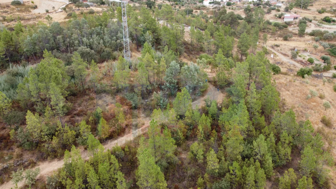 Terreno para Venda em Benquerenças Foto 13
