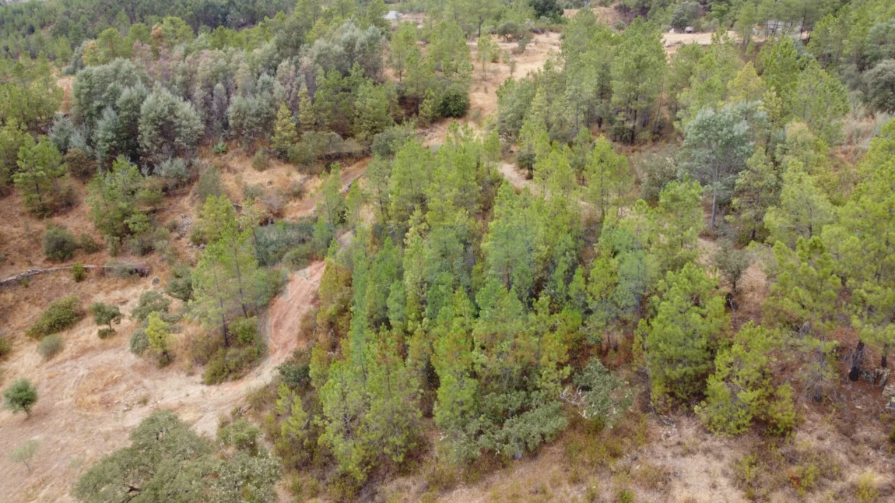 Terreno para Venda em Benquerenças Foto 8