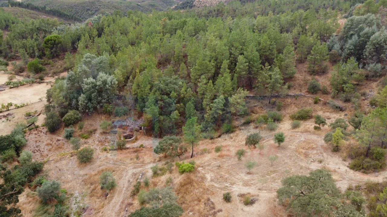Terreno para Venda em Benquerenças Foto 6