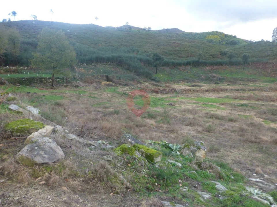 Quinta T0 para Venda em Longos Vales Foto 8