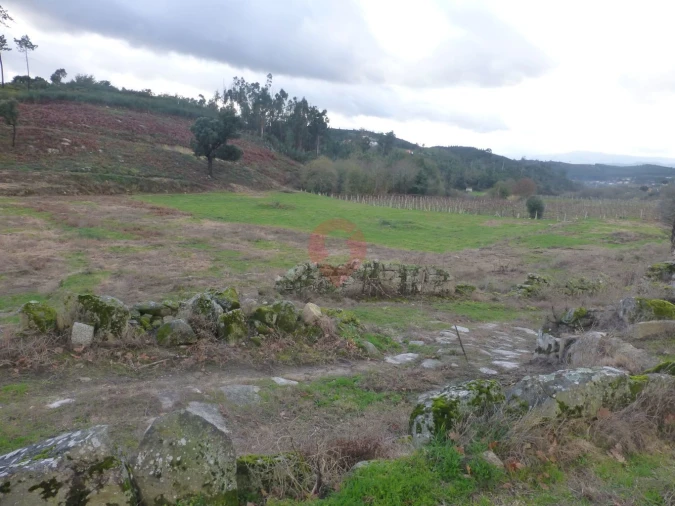 Quinta T0 para Venda em Longos Vales Foto 7