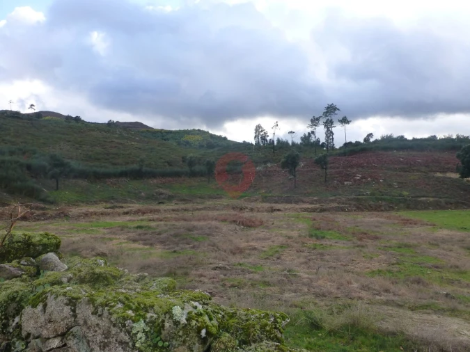 Quinta T0 para Venda em Longos Vales Foto 11