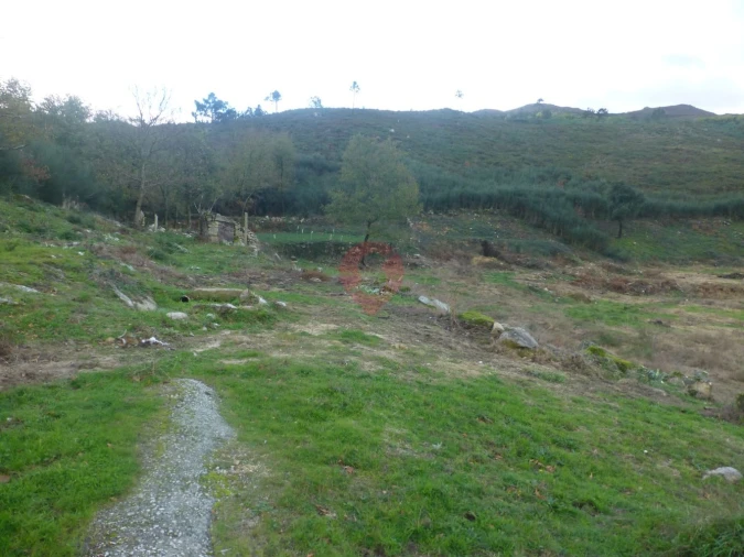 Quinta T0 para Venda em Longos Vales Foto 6