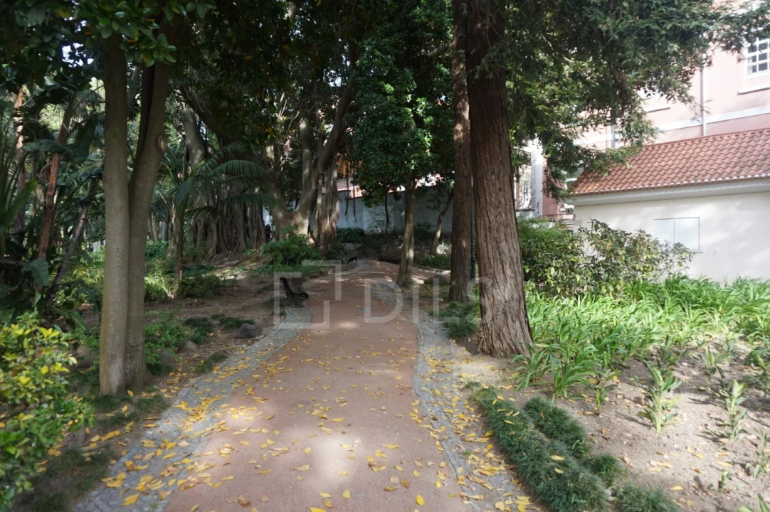 Apartamento para Venda em Estrela Foto 7