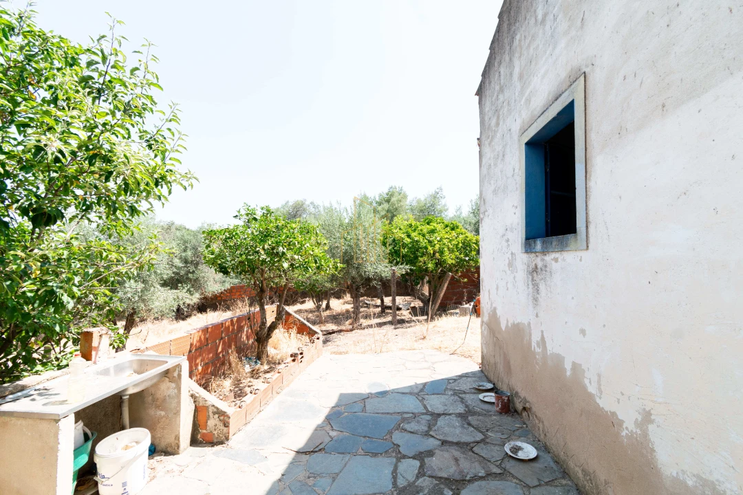 Moradia T3 para Venda em Terena (São Pedro) Foto 2