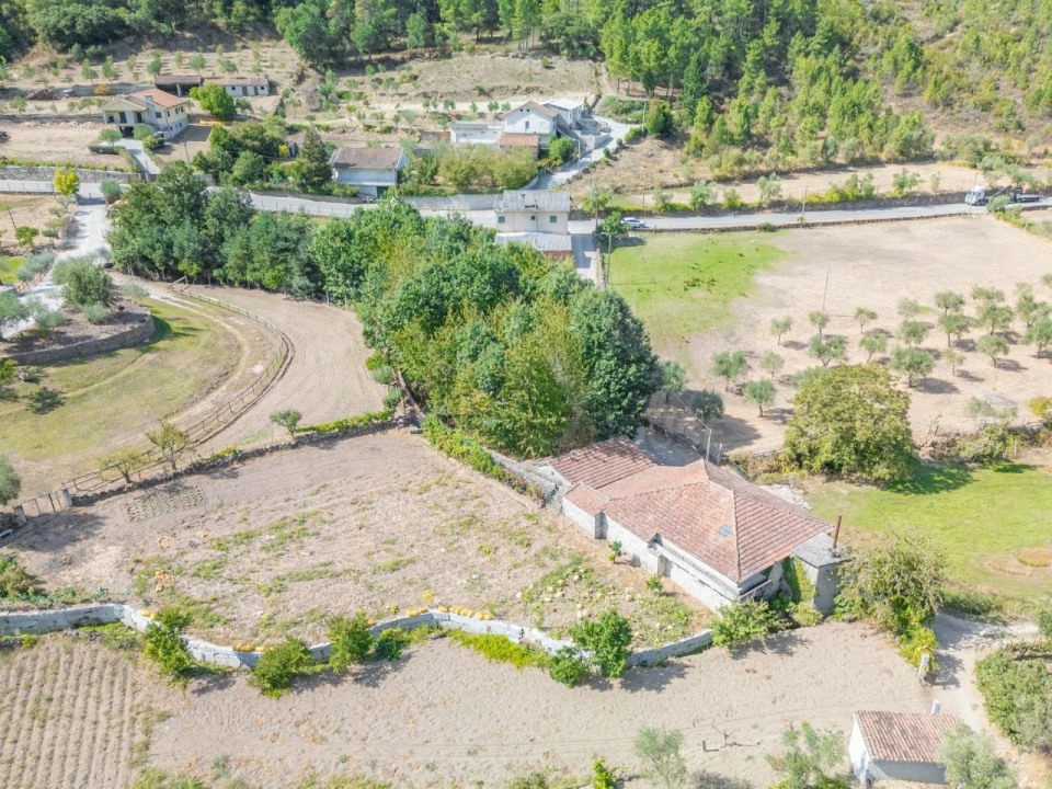Armazém para Venda em Vreia de Bornes Foto 4