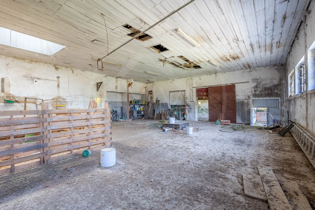 Armazém para Venda em Vreia de Bornes Foto 6