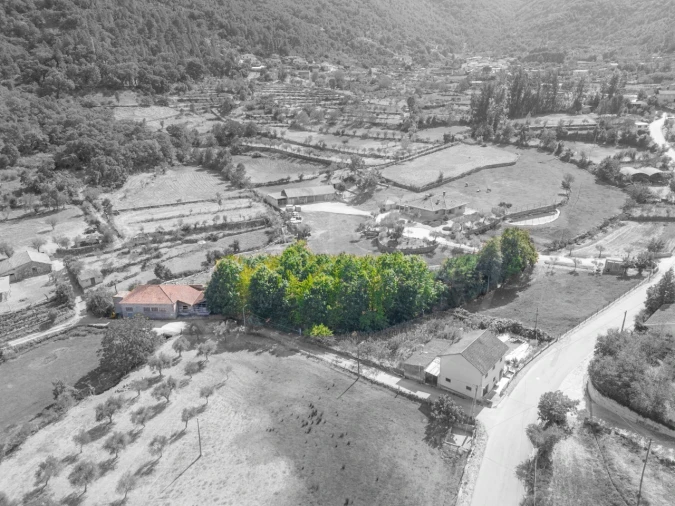 Armazém para Venda em Vreia de Bornes Foto 3