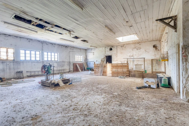 Armazém para Venda em Vreia de Bornes Foto 5