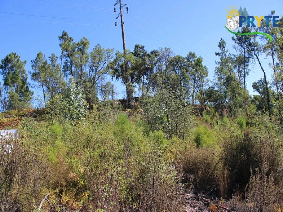Terreno para Venda em Sertã Foto 4