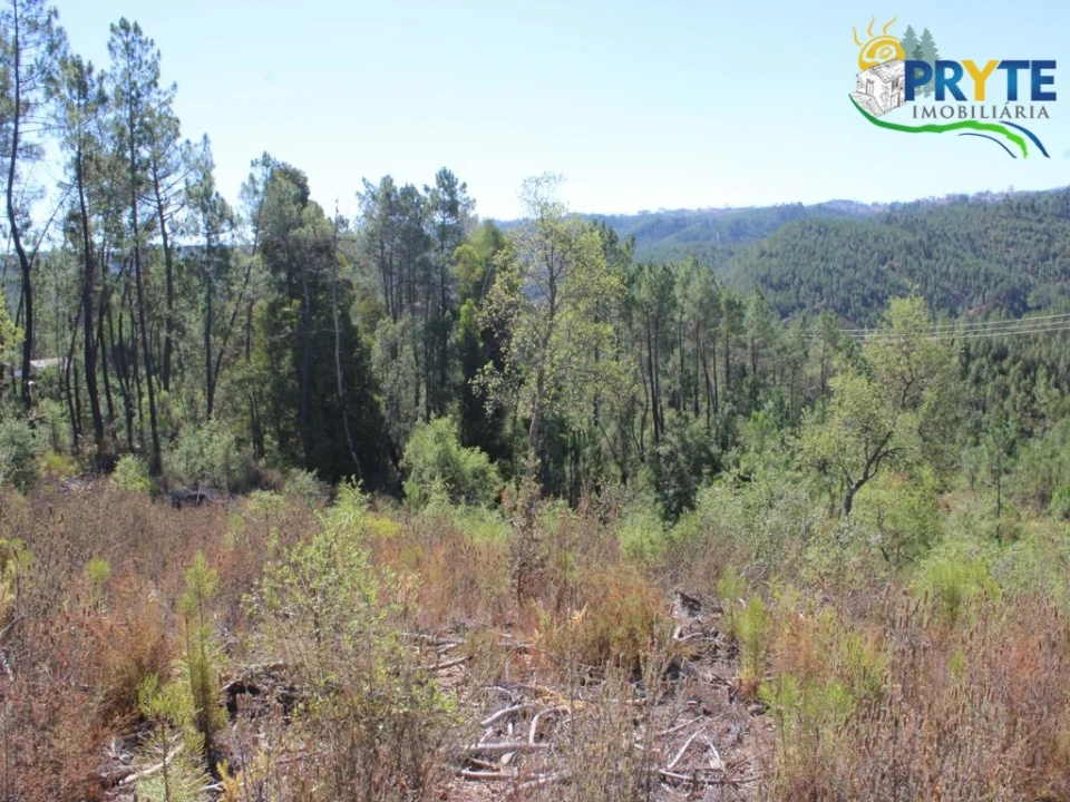 Terreno para Venda em Sertã Foto 8