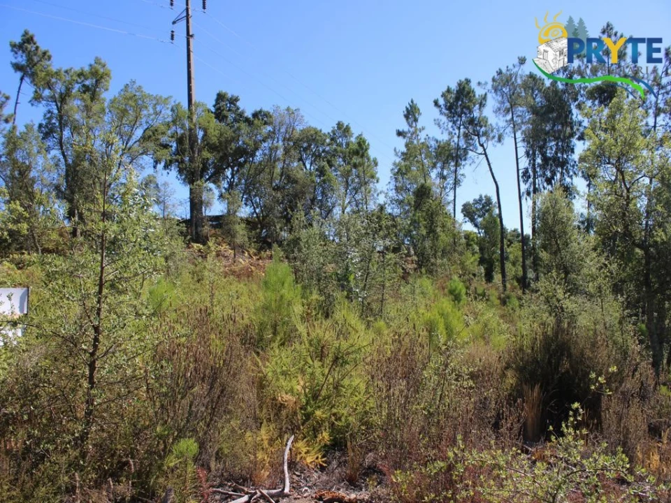 Terreno para Venda em Sertã Foto 9
