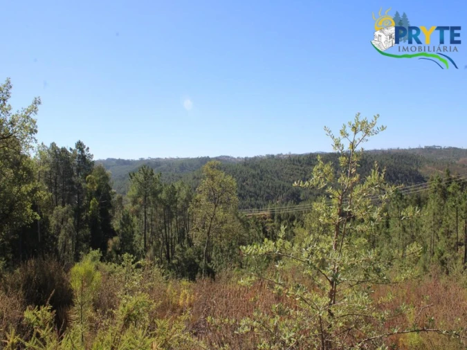 Terreno para Venda em Sertã Foto 2