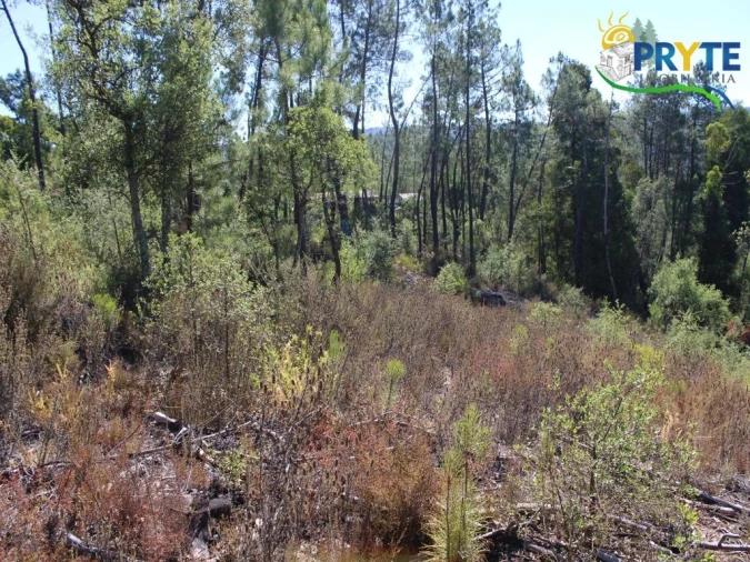 Terreno para Venda em Sertã Foto 3