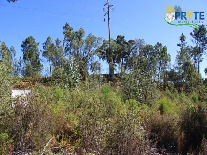 Terreno para Venda em Sertã Foto 5