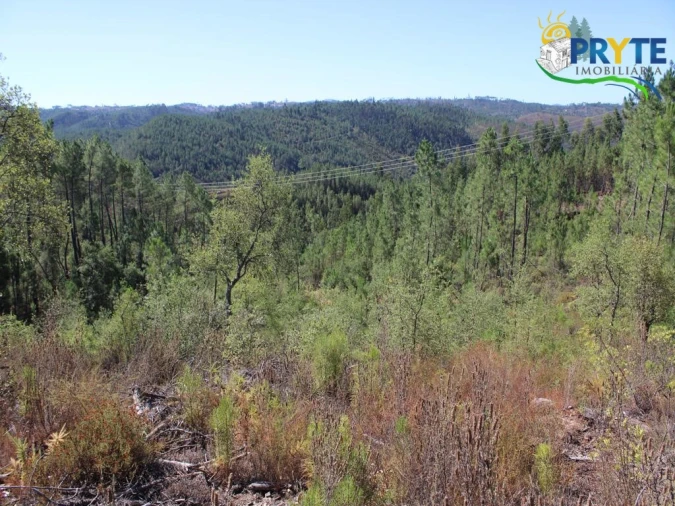Terreno para Venda em Sertã Foto 6