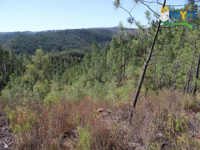 Terreno para Venda em Sertã Foto 7
