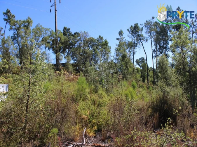 Terreno para Venda em Sertã Foto 9