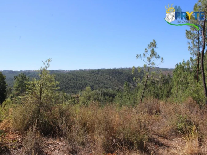 Terreno para Venda em Sertã Foto 11