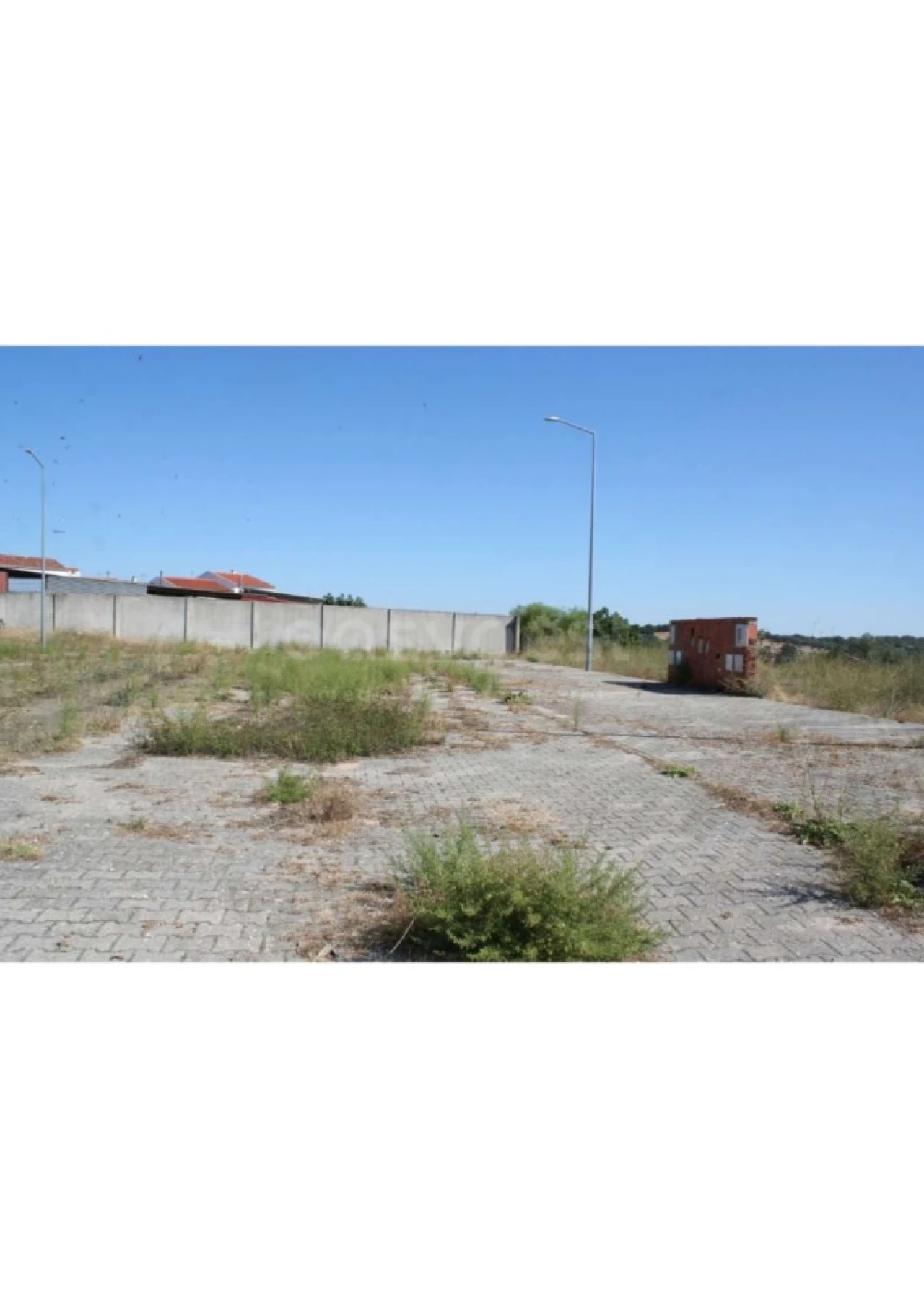 Terreno para Venda em Alvito Foto 8