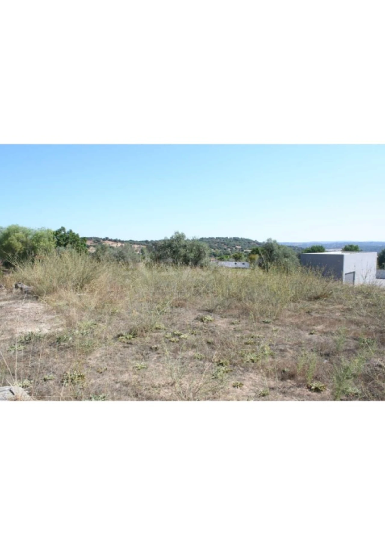 Terreno para Venda em Alvito Foto 10