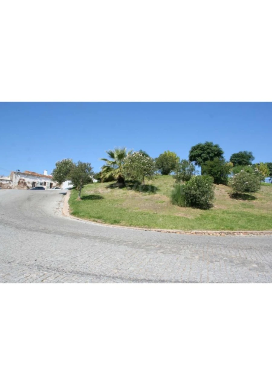 Terreno para Venda em Alvito Foto 12