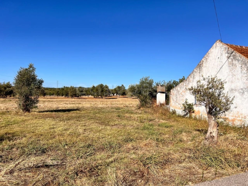 Moradia T3 para Venda em Casais e Alviobeira Foto 6