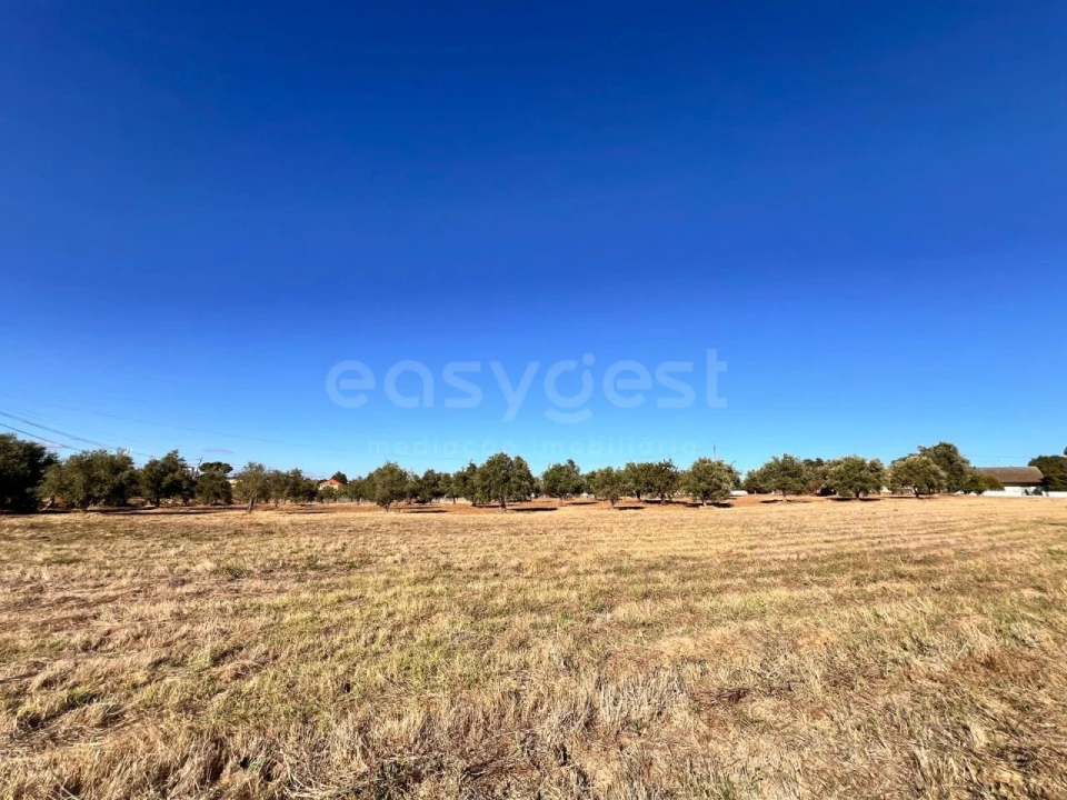 Moradia T3 para Venda em Casais e Alviobeira Foto 7