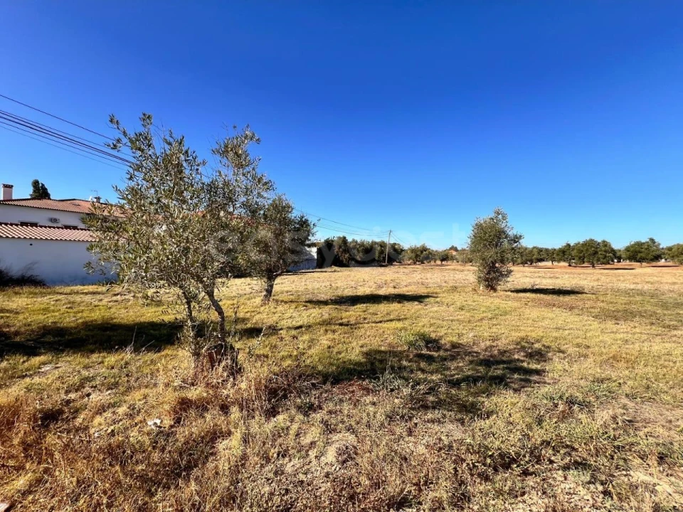 Moradia T3 para Venda em Casais e Alviobeira Foto 8